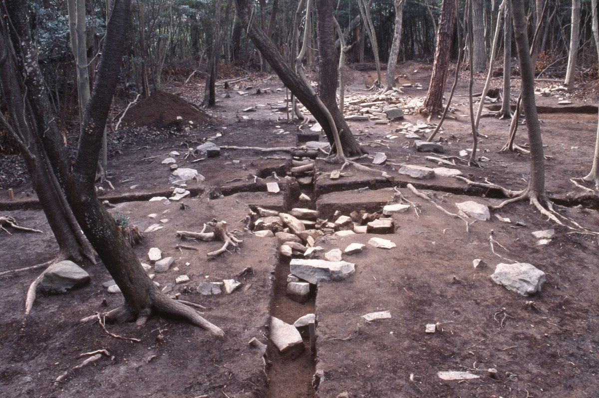 写真07：千間堂跡の発掘調査（高松市教育委員会提供）