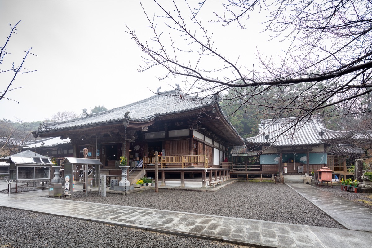 写真01：Main Hall (Left) and Tendai Daishido Hall (Right)