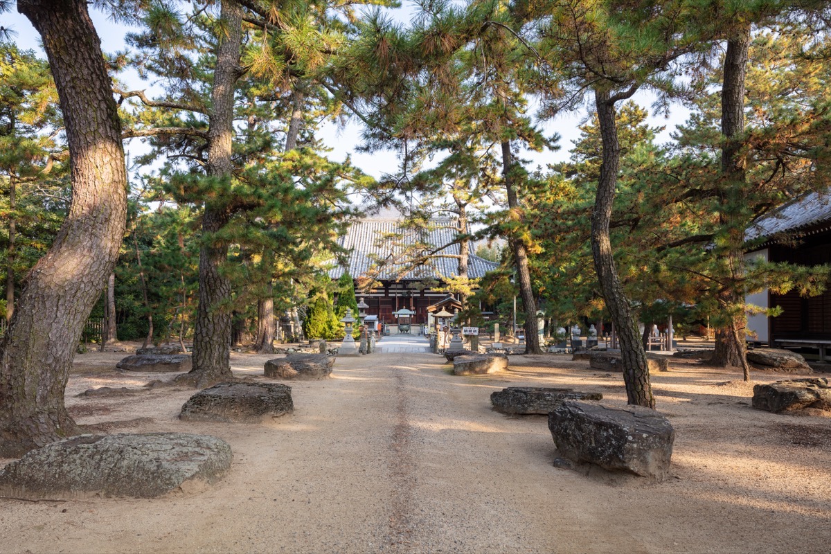 写真01：Kokubunji Temple Precincts