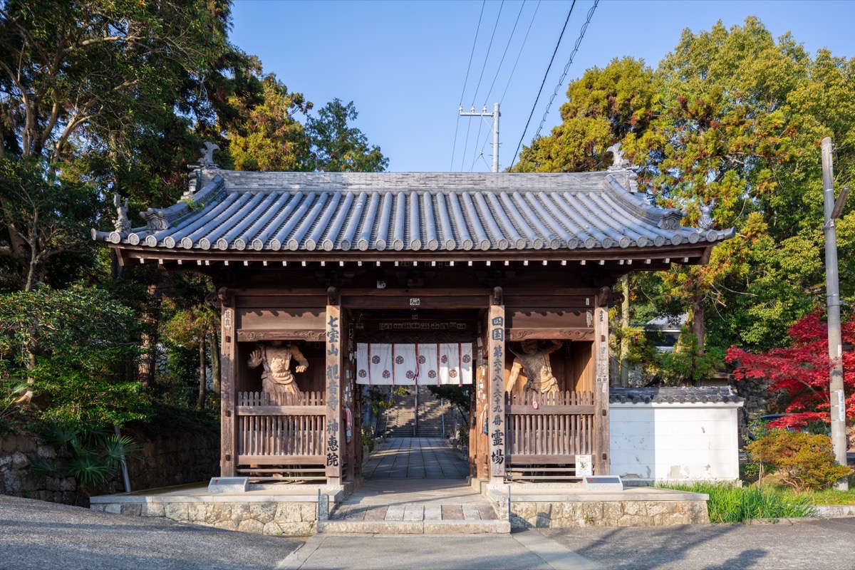 写真05：Kannonji Temple  Niomon Gate
