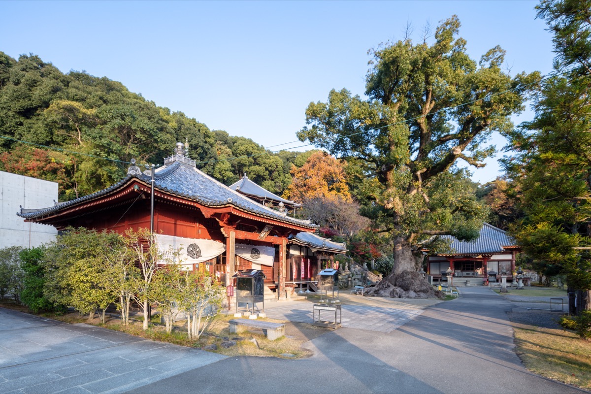 写真07：Precincts of Kannonji Temple